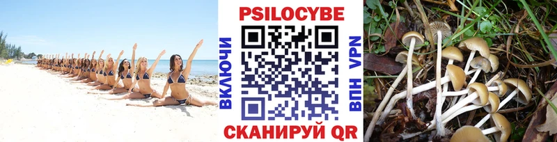 Псилоцибиновые грибы ЛСД  Туапсе 